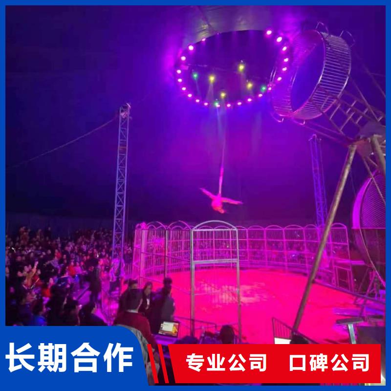 馬戲團/羊駝 美人魚表演專業(yè)公司