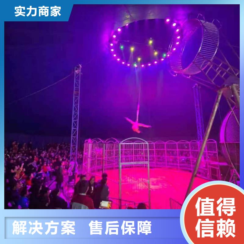 【馬戲團/羊駝】【企鵝表演】專業(yè)可靠