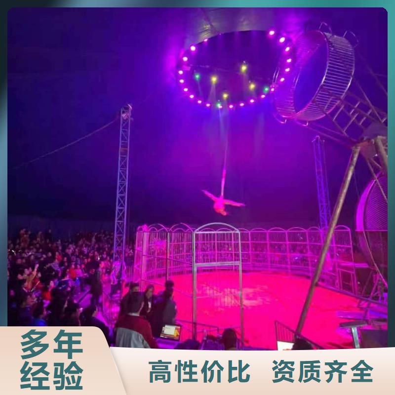 馬戲團(tuán)/羊駝企鵝租賃實(shí)力商家