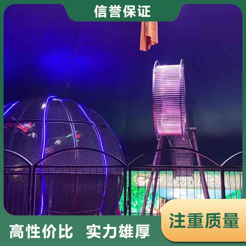 馬戲團(tuán)/羊駝,【出租馬戲表演】省錢省時(shí)