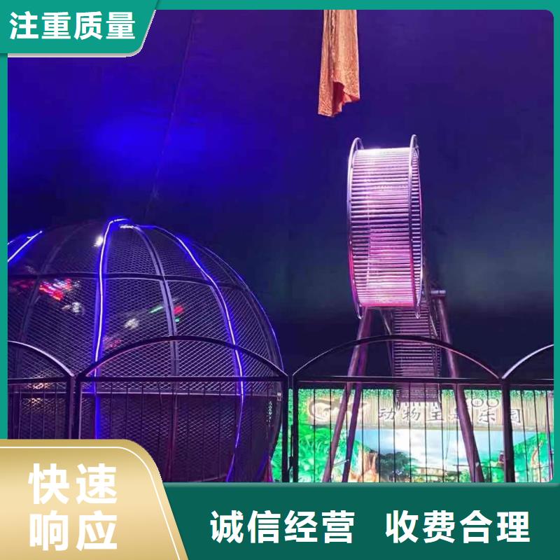 馬戲團/羊駝動物雜技表演租賃價格美麗