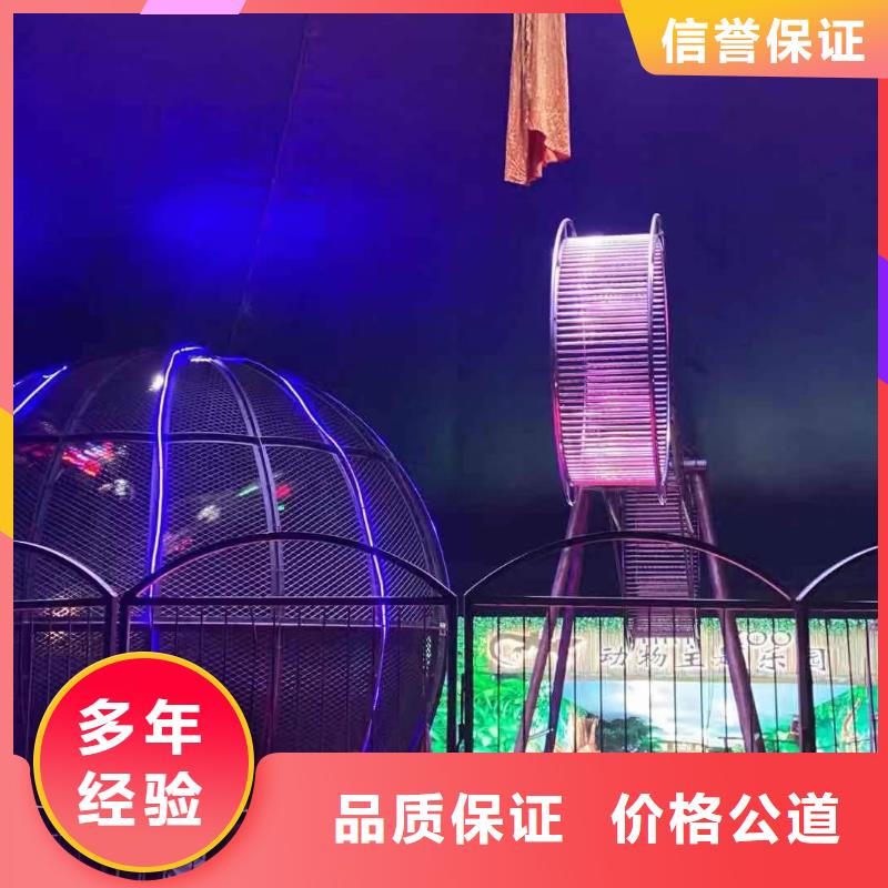 馬戲團(tuán)/羊駝_動(dòng)物雜技表演省錢省時(shí)