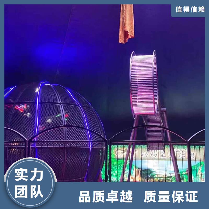 馬戲團(tuán)/羊駝-【活體羊駝租賃】知名公司