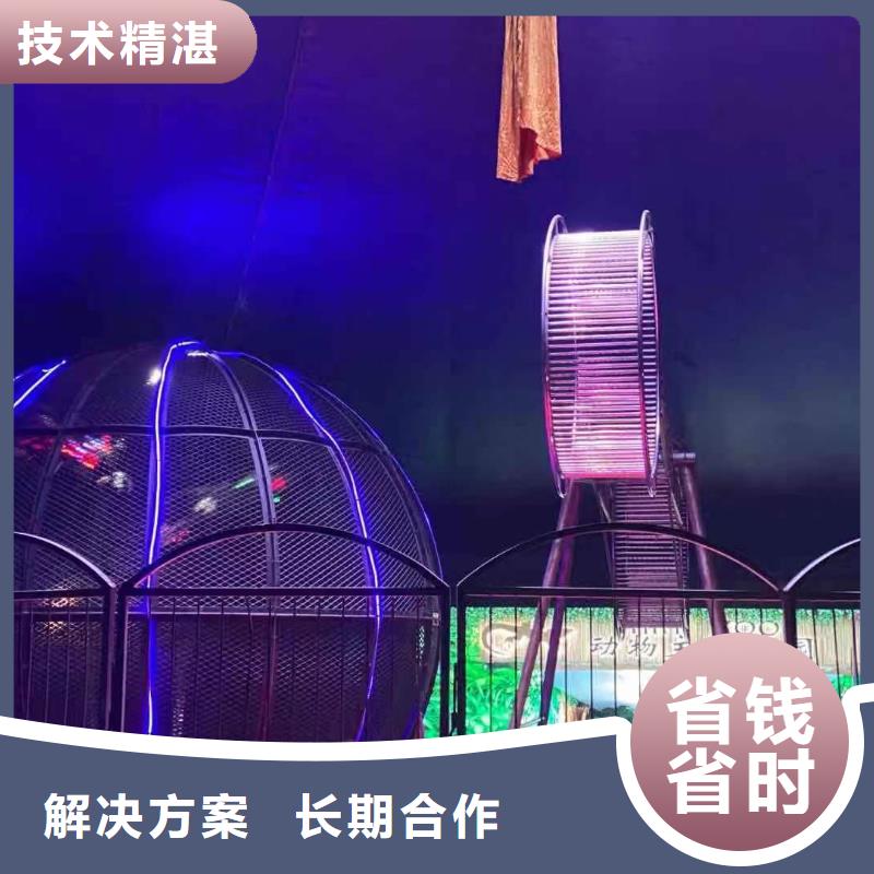马戏团/羊驼_马戏团表演值得信赖