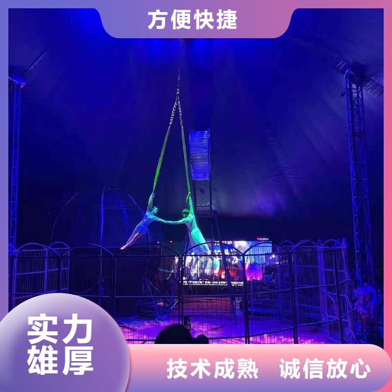 馬戲團/羊駝-動物展覽秀2025公司