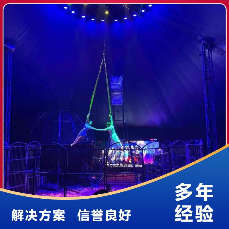 馬戲團(tuán)/羊駝,【羊駝出租】正規(guī)團(tuán)隊(duì)