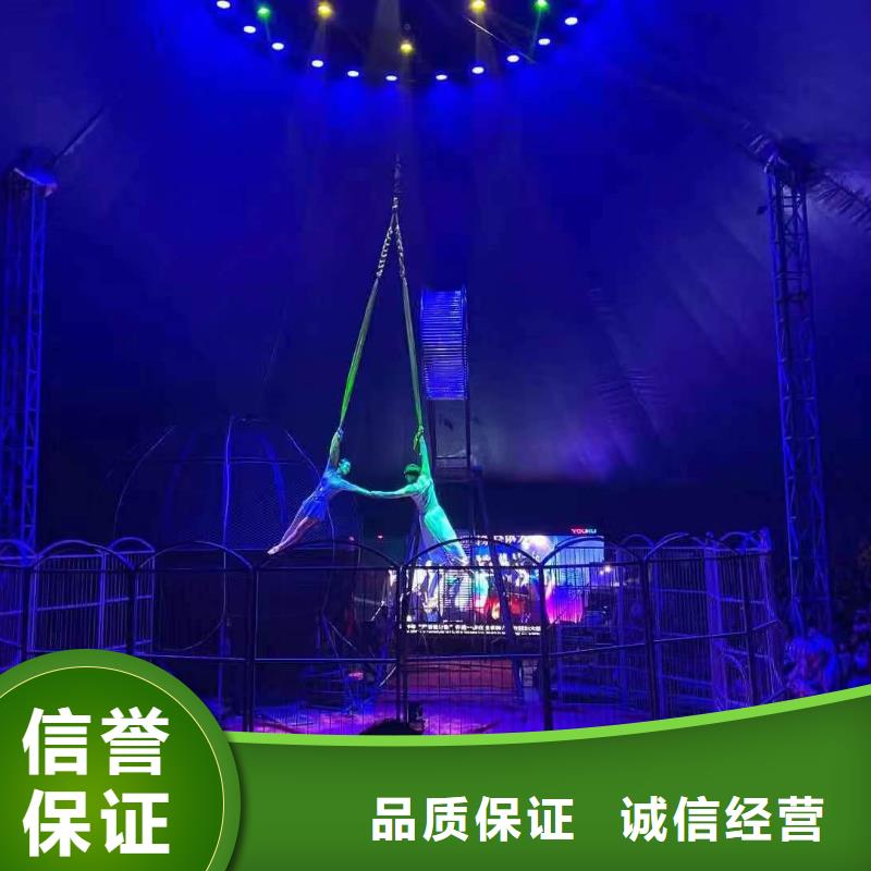 馬戲團/羊駝_馬戲表演信譽良好