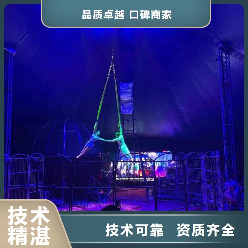 馬戲團(tuán)/羊駝_動(dòng)物雜技表演省錢省時(shí)