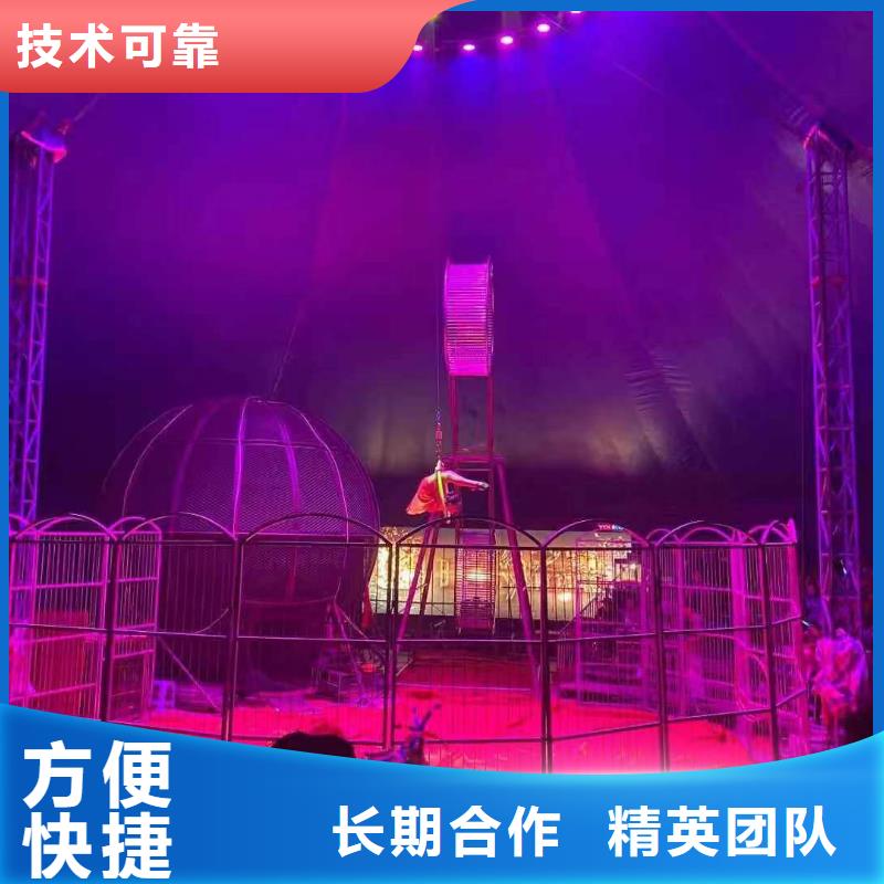 馬戲團(tuán)/羊駝草泥馬羊駝租賃技術(shù)好