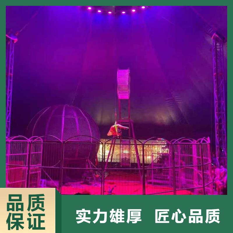 馬戲團(tuán)/羊駝海洋展租賃專業(yè)