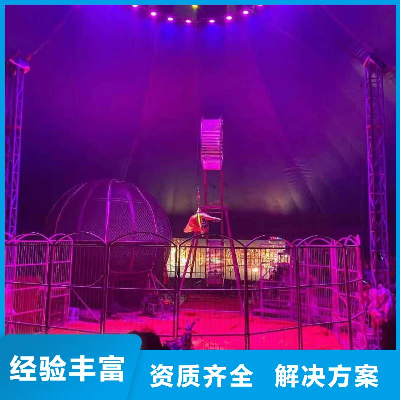 馬戲團/羊駝【雜耍演出】團隊