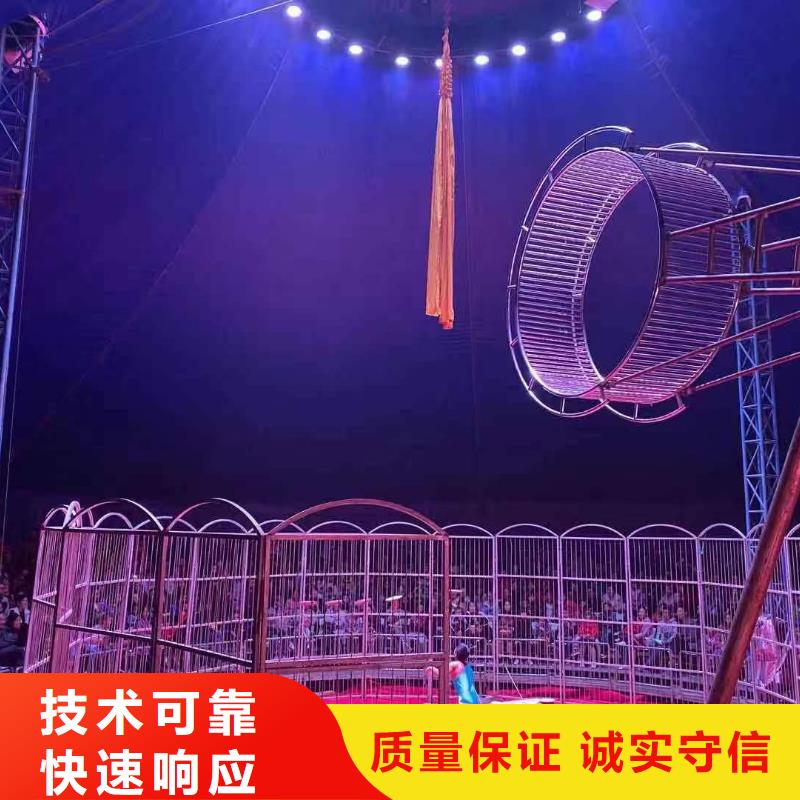 馬戲團(tuán)/羊駝,動(dòng)物雜技表演服務(wù)周到