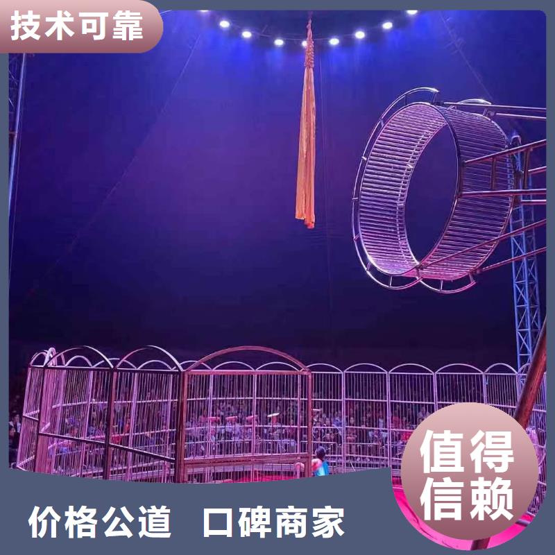 马戏团/羊驼海狮表演出租专业公司