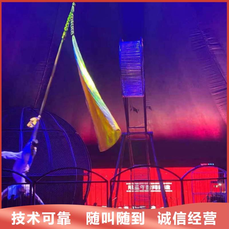 馬戲團(tuán)/羊駝_出租企鵝明碼標(biāo)價(jià)