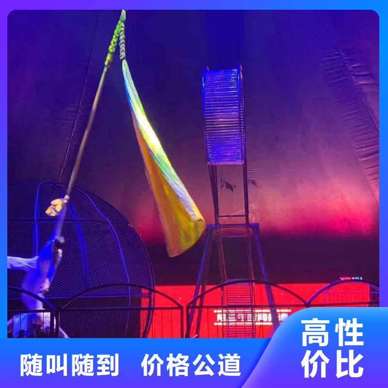 馬戲團(tuán)/羊駝草泥馬羊駝租賃承接