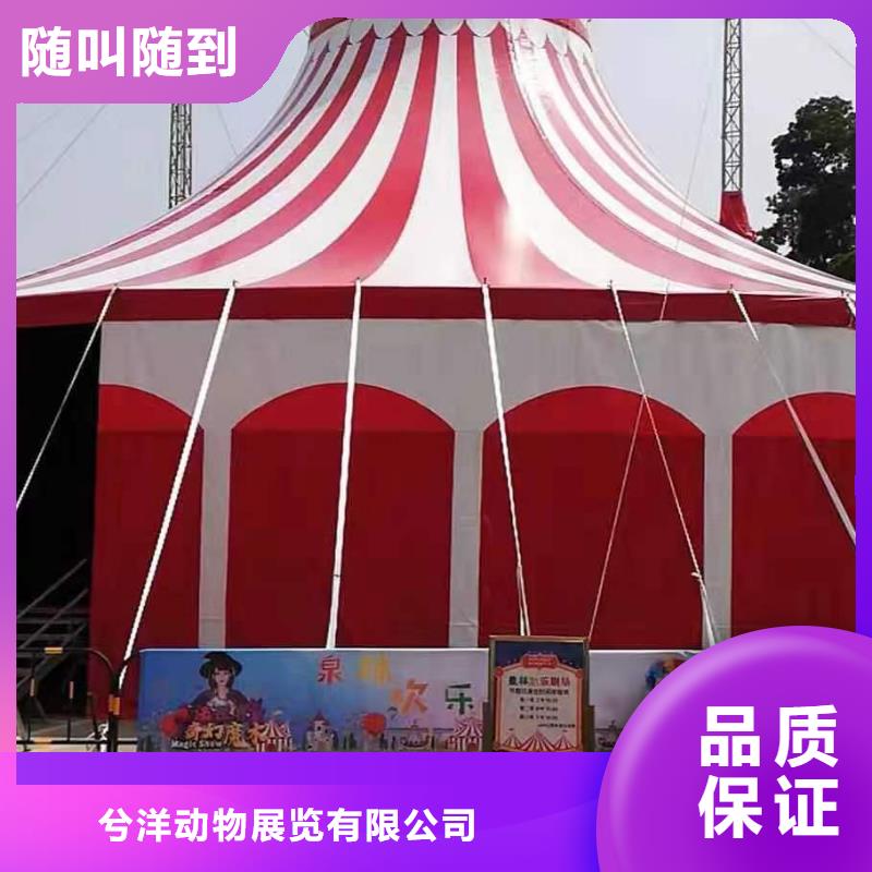 馬戲團(tuán)/羊駝海洋展租賃質(zhì)量保證