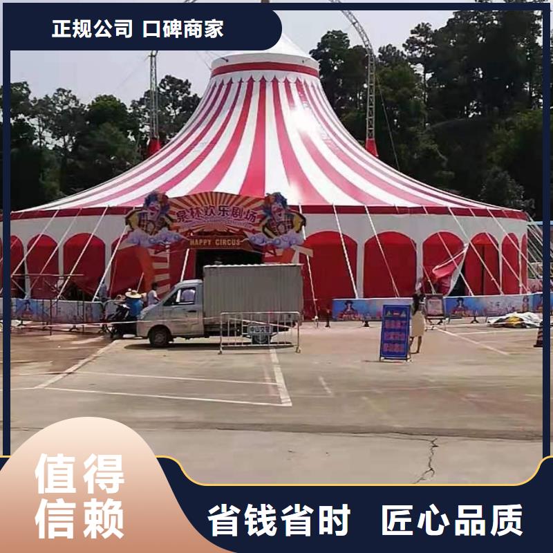馬戲團(tuán)/羊駝-【活體羊駝租賃】知名公司