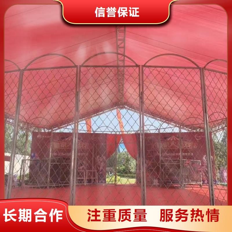 馬戲團(tuán)/羊駝馬戲團(tuán)表演有實(shí)力