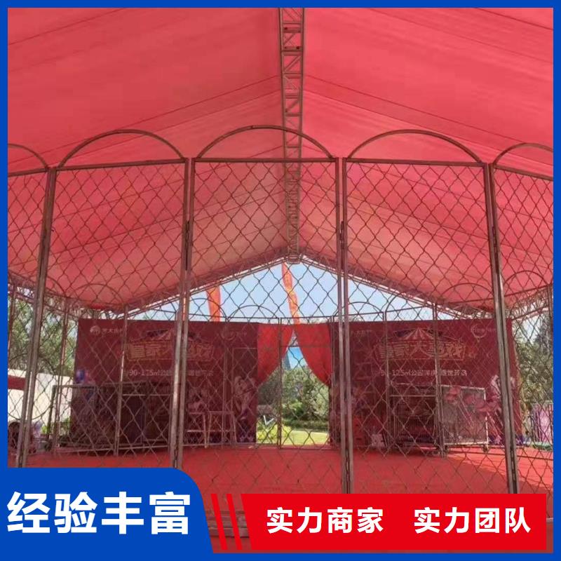 馬戲團/羊駝馬戲表演正規(guī)團隊