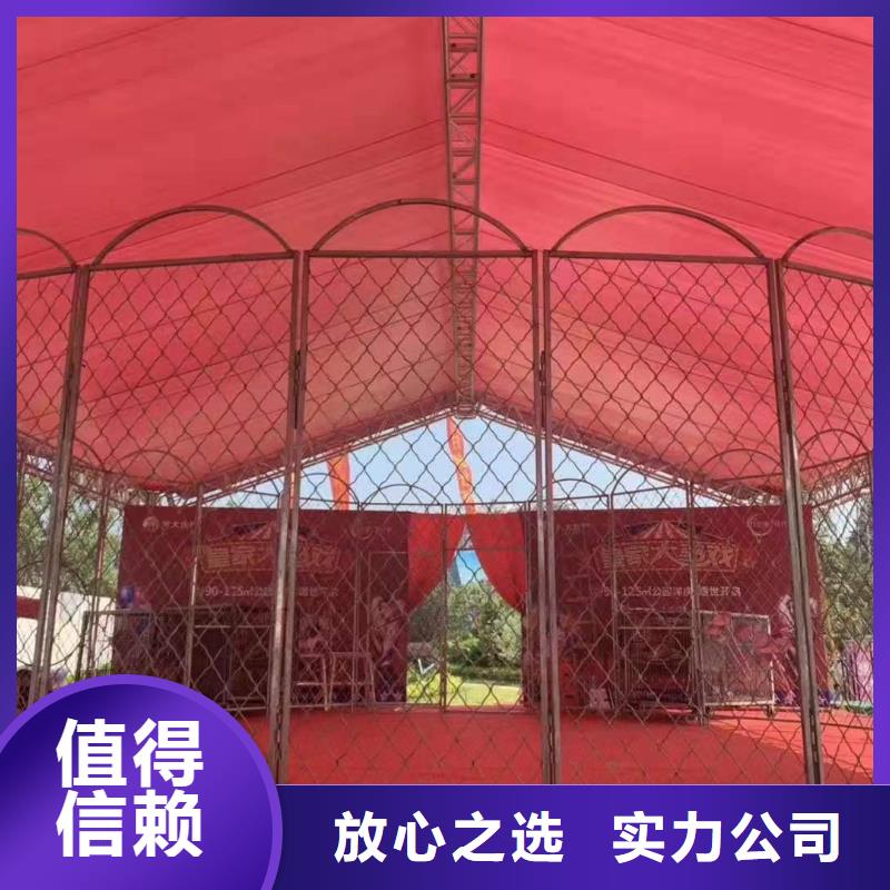 马戏团/羊驼小香猪宠物出租实力团队