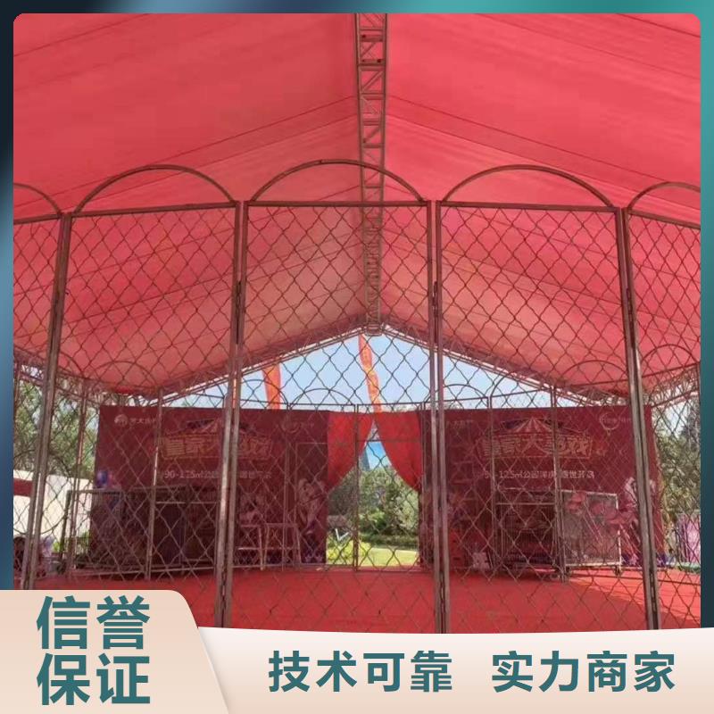 馬戲團(tuán)/羊駝_馬戲團(tuán)表演出租租賃售后保障