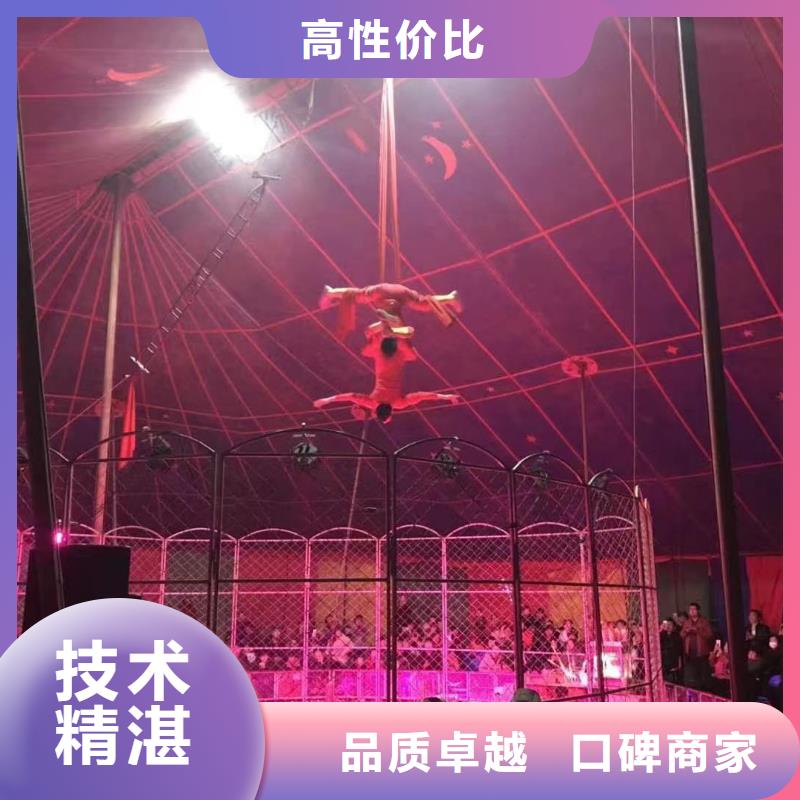 馬戲團/羊駝萌寵動物展出租效果滿意為止