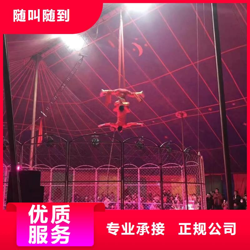 馬戲團(tuán)/羊駝【企鵝租賃】正規(guī)