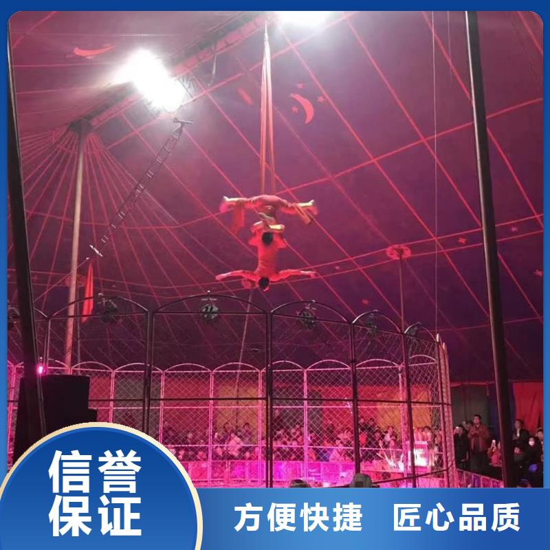 马戏团/羊驼马戏团表演出租租赁注重质量