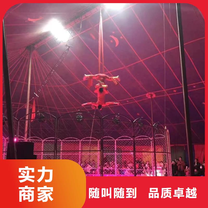 馬戲團(tuán)/羊駝 美人魚表演值得信賴