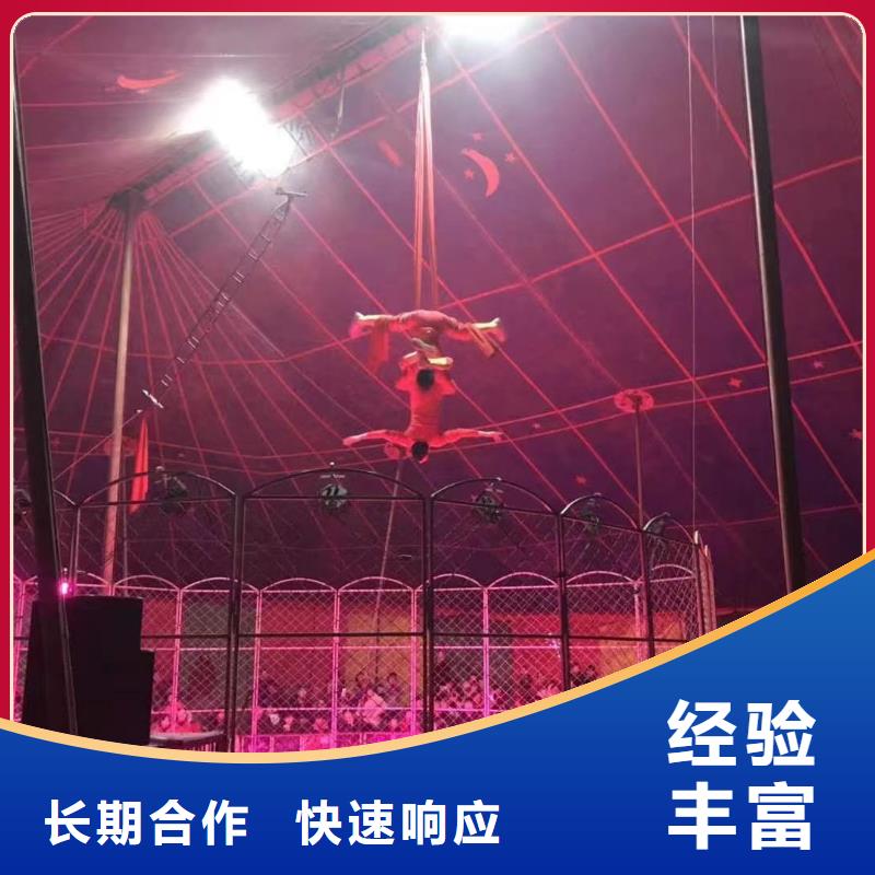 馬戲團/羊駝動物表演口碑公司