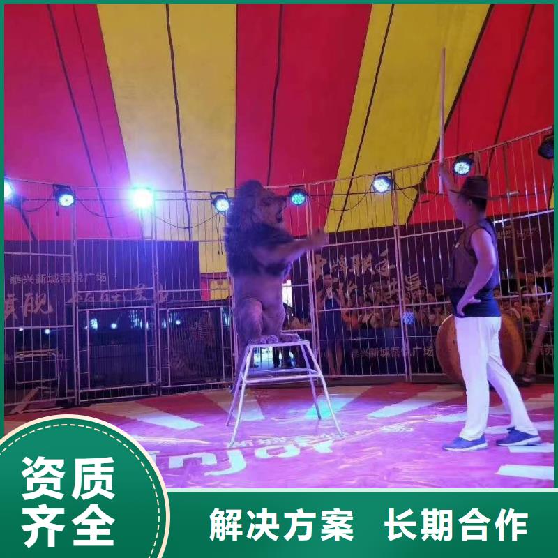 馬戲團(tuán)/羊駝-鸚鵡表演講究信譽