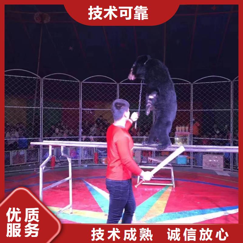 馬戲團(tuán)/羊駝動(dòng)物展覽秀技術(shù)成熟