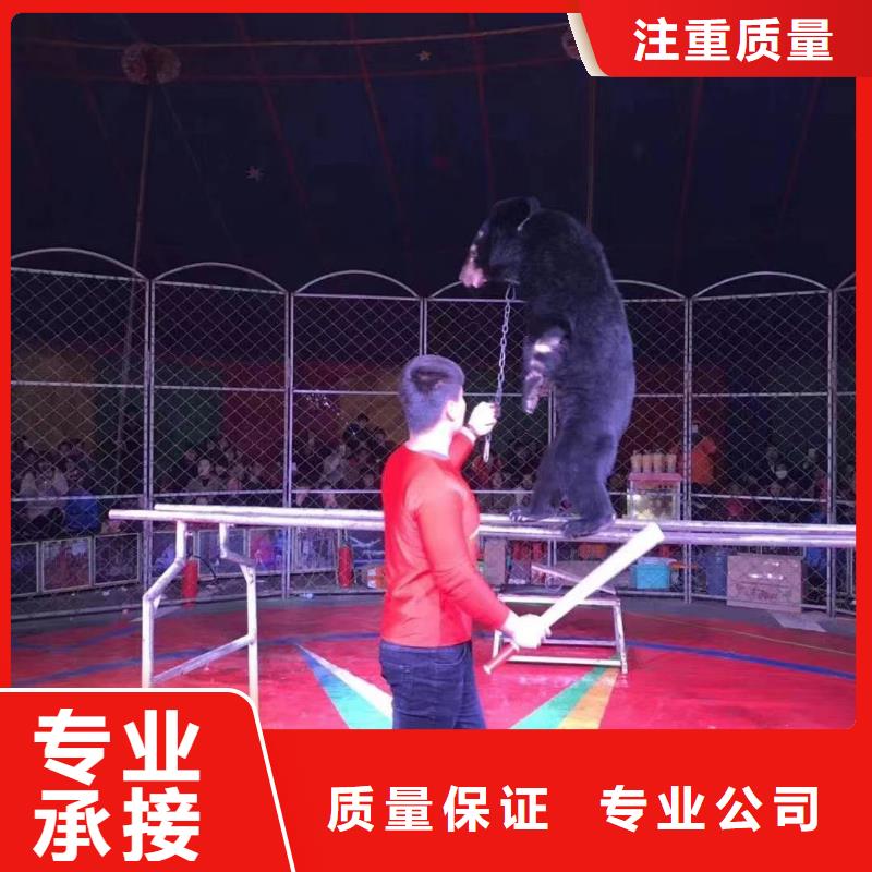 馬戲團/羊駝企鵝出租講究信譽