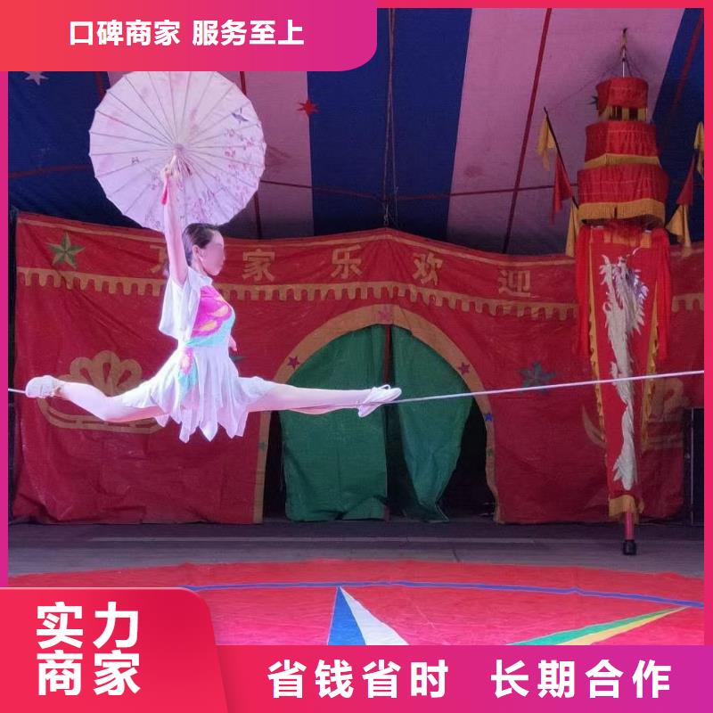 馬戲團(tuán)/羊駝-馬戲團(tuán)表演多年經(jīng)驗(yàn)