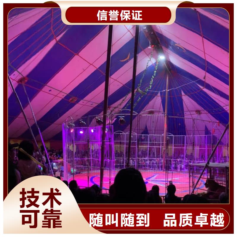 【馬戲團/羊駝】海獅表演出租匠心品質