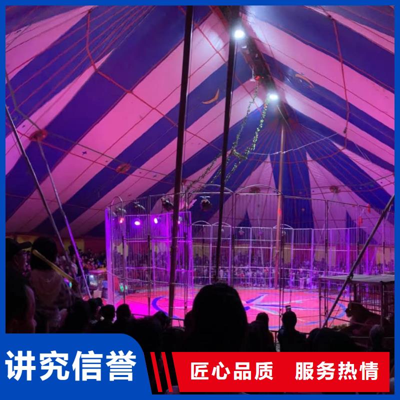 雜技表演出租