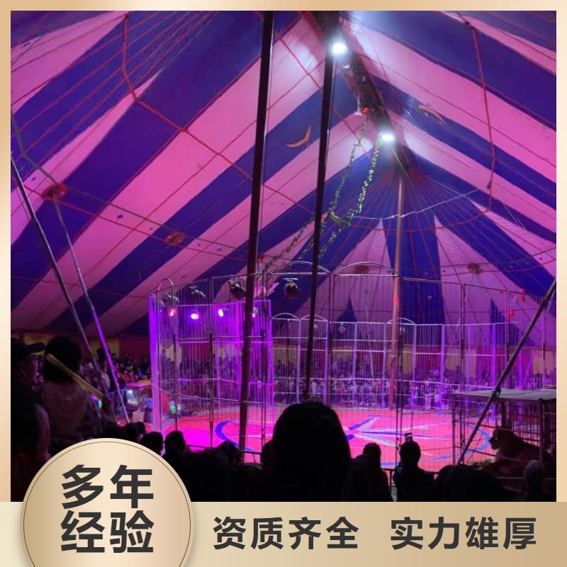 马戏团/羊驼,马戏团表演出租租赁多家服务案例