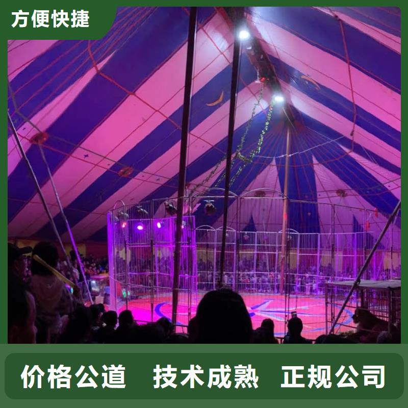 馬戲團(tuán)/羊駝_羊駝出租信譽(yù)保證