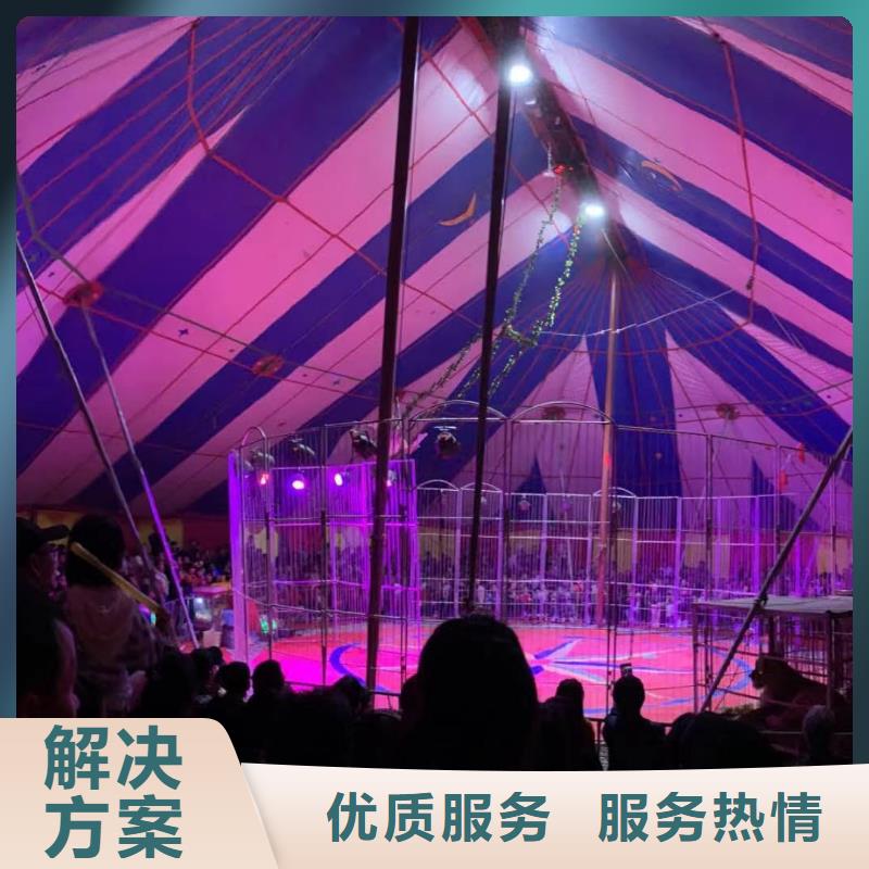 馬戲團(tuán)/羊駝-動(dòng)物雜技表演2025專業(yè)的團(tuán)隊(duì)