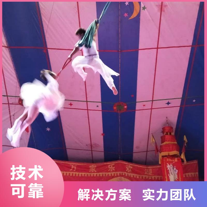 马戏团/羊驼 鹦鹉表演专业承接