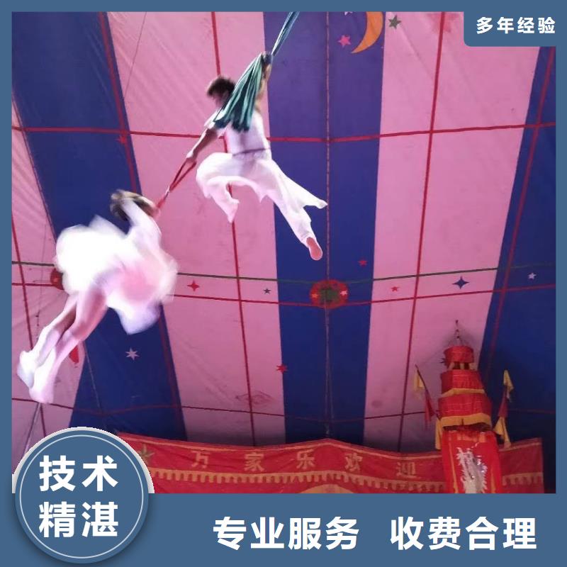 【馬戲團(tuán)/羊駝】,美人魚(yú)表演品質(zhì)保證