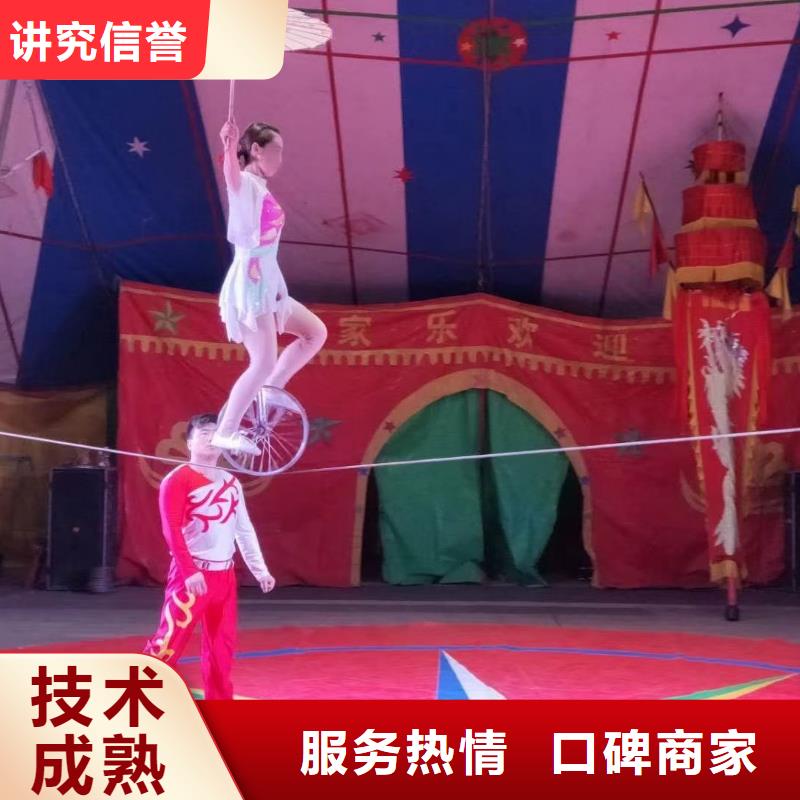 馬戲團(tuán)/羊駝 雜耍演出歡迎詢價