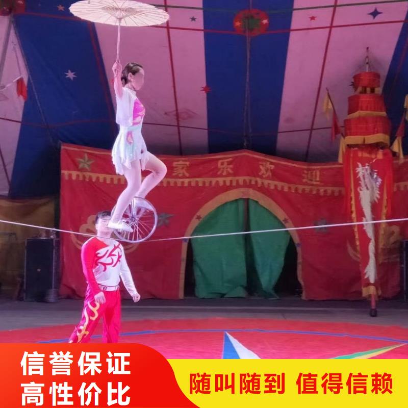 马戏团/羊驼-动物杂技表演2025专业的团队