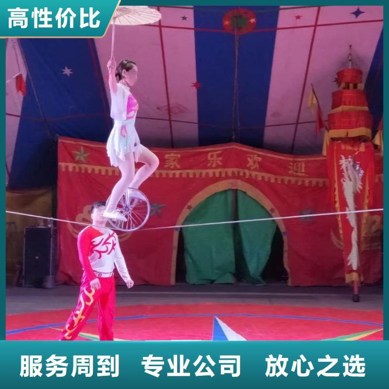 【馬戲團(tuán)/羊駝 小香豬寵物出租質(zhì)量保證】