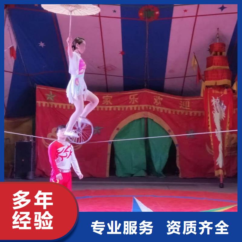 馬戲團/羊駝_【美人魚出租演出】信譽良好