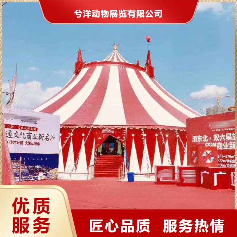 羊驼出租服务全国