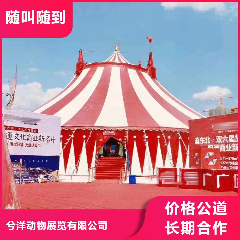 馬戲團(tuán)/羊駝 馬戲團(tuán)出租 高性價比