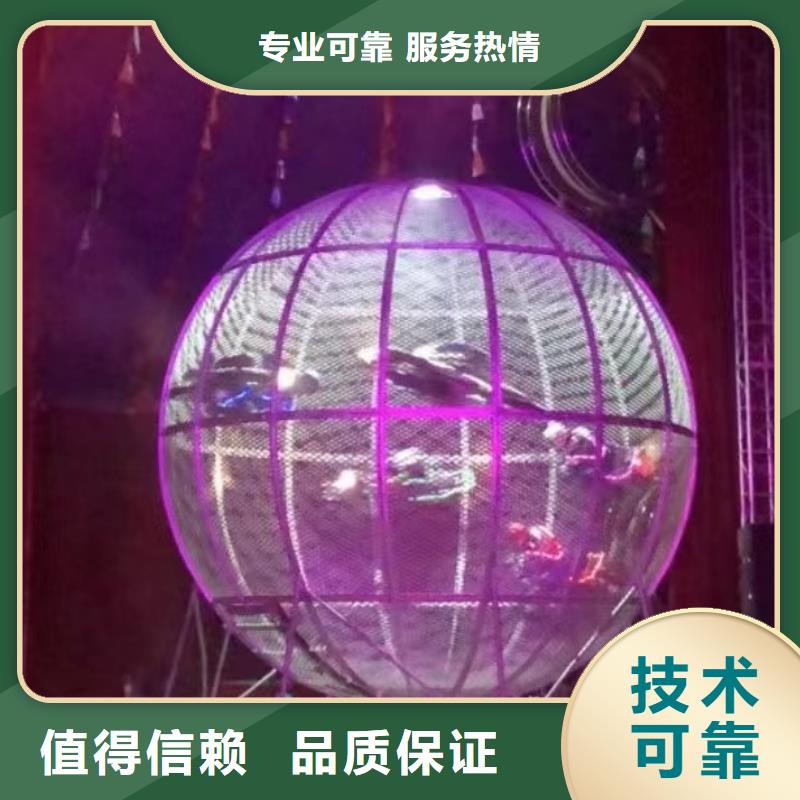 马戏团/羊驼 【出租海狮表演】2025公司精心