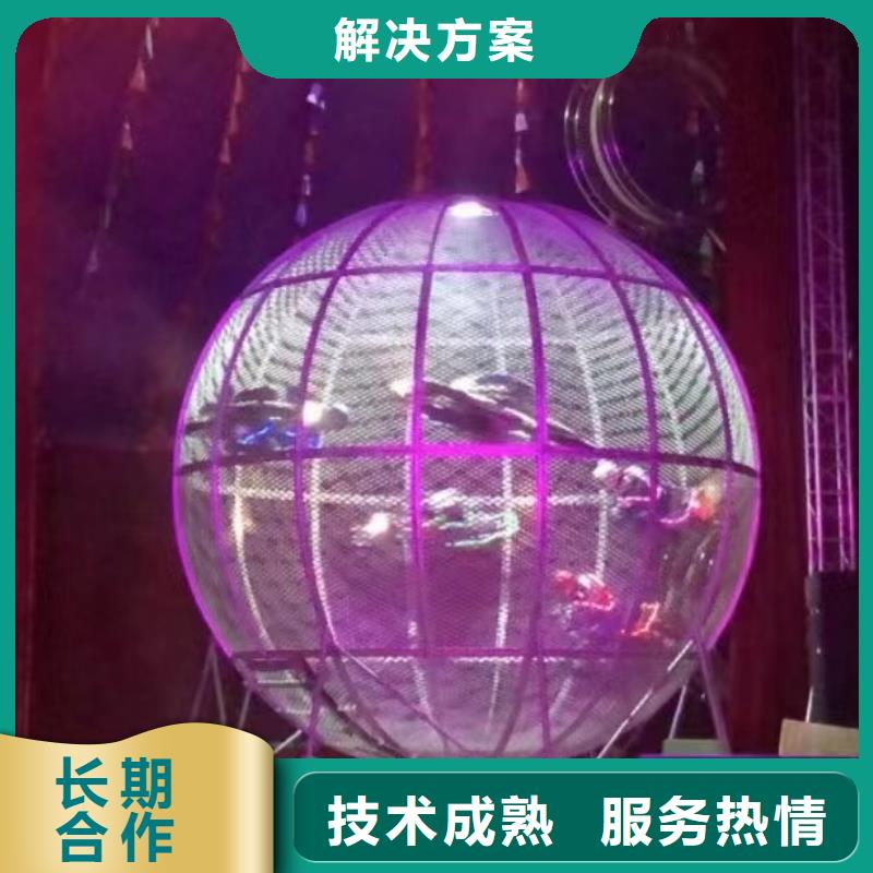 馬戲團(tuán)/羊駝_馬戲團(tuán)表演出租租賃良好口碑