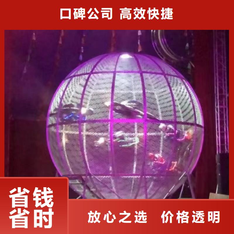 馬戲團(tuán)/羊駝_動(dòng)物雜技表演省錢省時(shí)